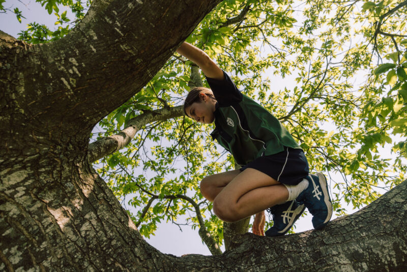 Girl climbing a tree and exploring nature