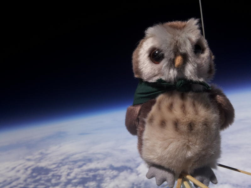An owl teddy in space