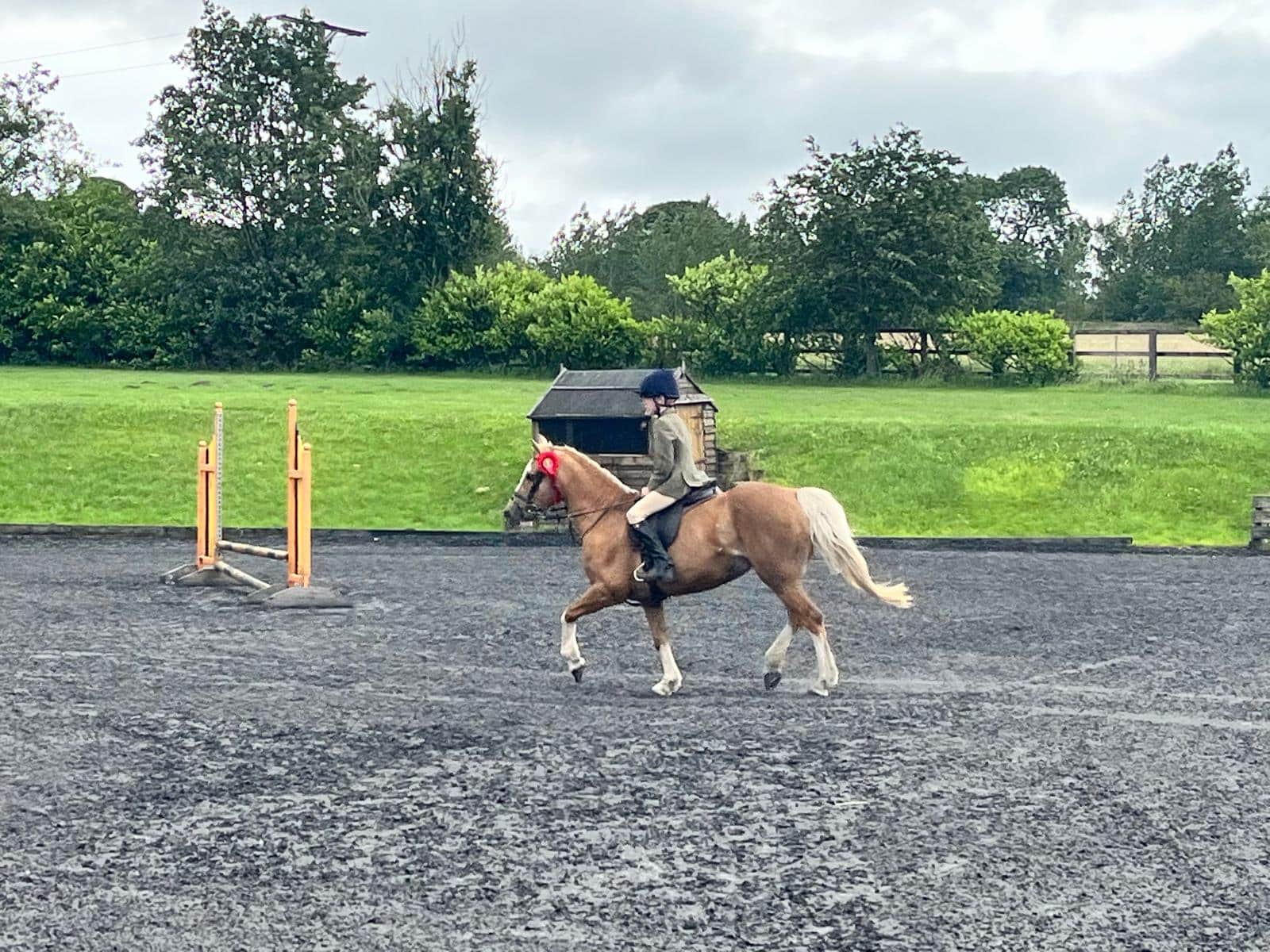 Young boy and horse competing in show jumping competition
