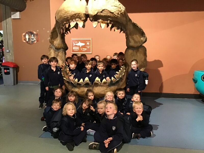 Group of children enjoying themselves at a trip to an Aquarium