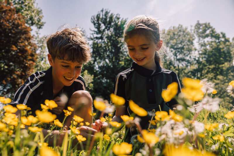 Boy and girl in a wild flower meadow in school grounds