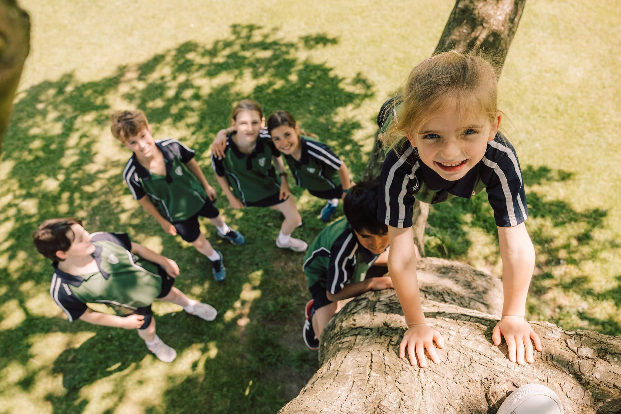 Young girl climbing tree
