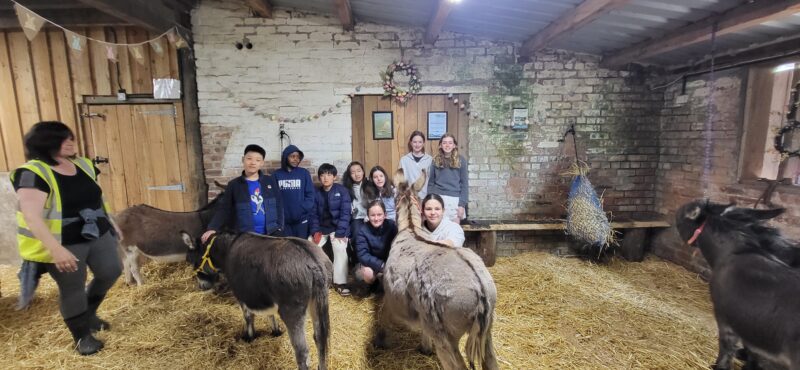 Group of children at a farm meeting donkeys